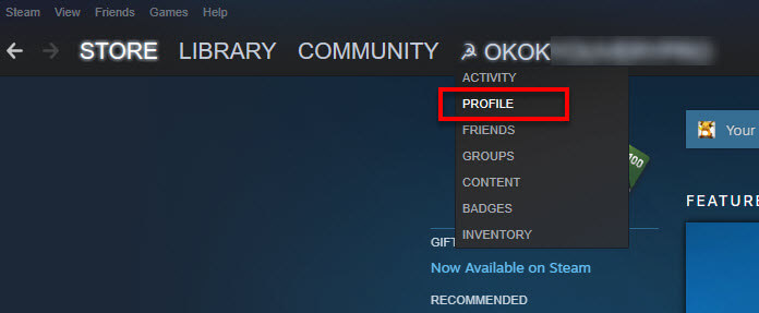 Steam client profile to change Apex Legends username